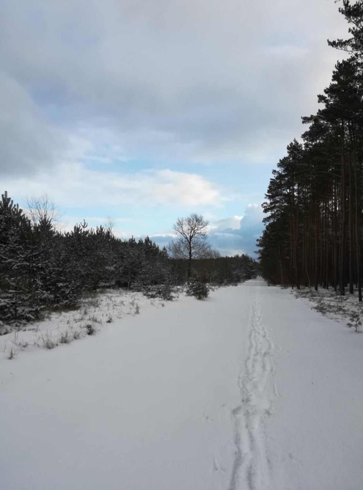 Berolina Appartement Graal-Mueritz Buitenkant foto