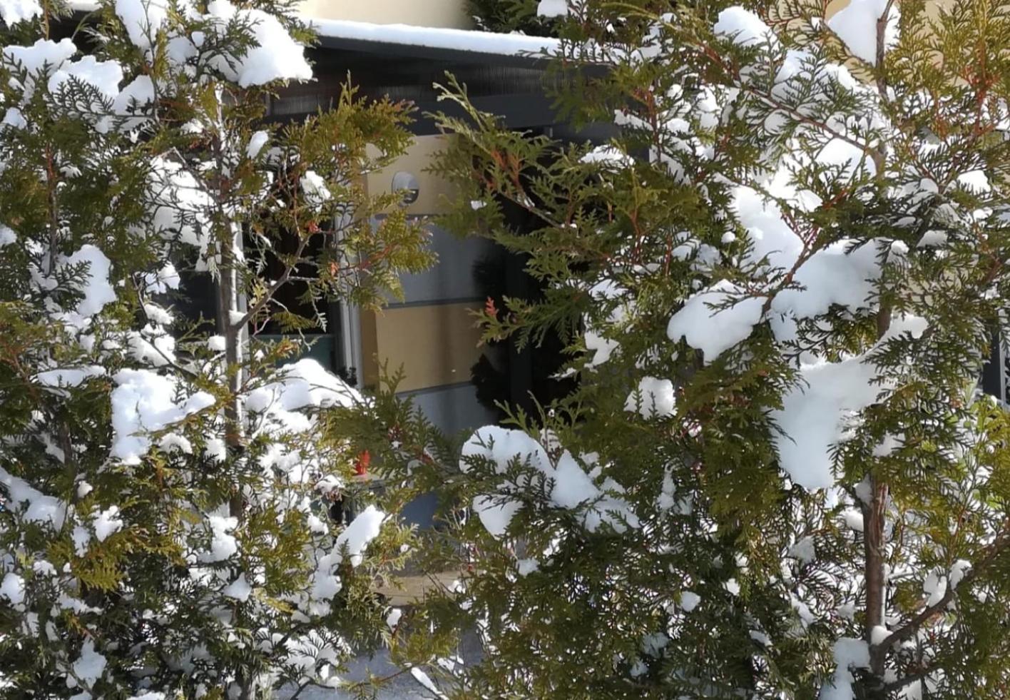 Berolina Appartement Graal-Mueritz Buitenkant foto